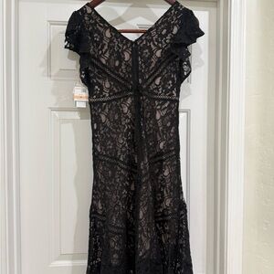 Taylor Black Lace Midi Dress with V-Neck and Flutter Sleeves